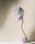 Crème Anti-âge Fermeté